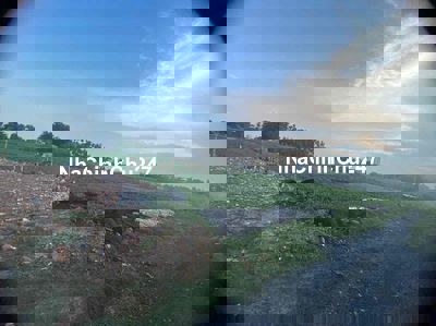 Đất kdc đông đúc ngay chung cư picity TX14