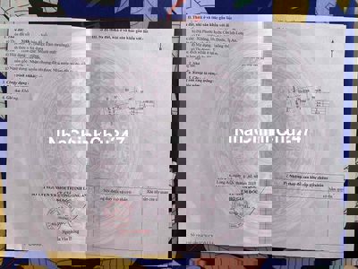 Chủ kẹt tiền nhở bán gấp đất  full thổ Phước Đông Cần Đước Long An