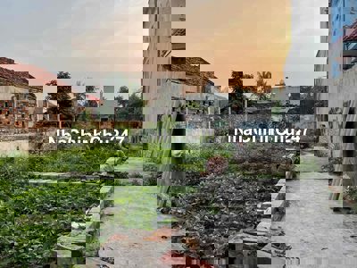 45m thanh mai giá chưa đến 2tỵ