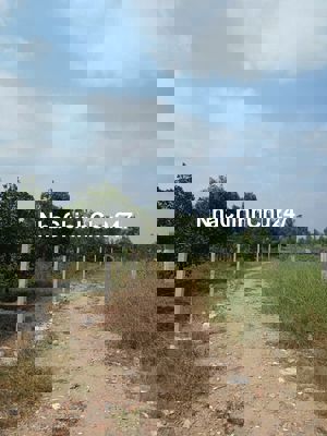 Đất Trích Lục 1975 kẹt tiền chủ bán lỗ