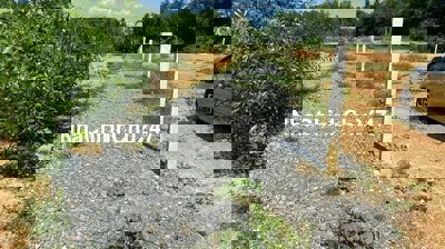 Đất rẻ Định Quán