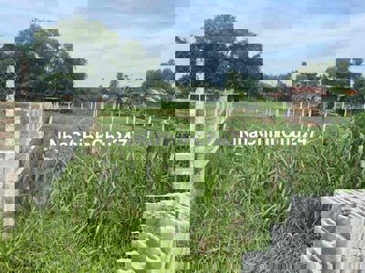 Chủ Cần Bán Đất 1/ Võ Văn Điều Phước Thạnh Củ Chi DT 324m2 Giá 680TR