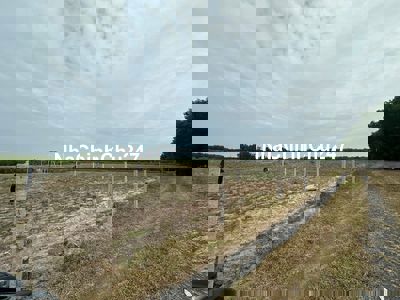 Chính chủ cần bán lô đất vườn ở Bình Thuận giá hấp dẫn nhất khu vực