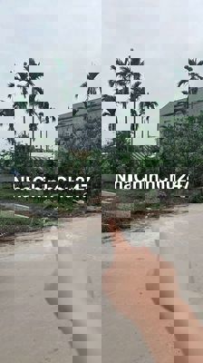 Đất sổ đỏ vuông đét mặt tiền rộng đường rộng