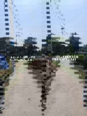 Đất thổ cư chợ mỹ hạnh nam