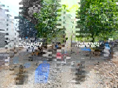 Đất Đông Hòa Dĩ An BD Giá 2,5 tỷ/1155,3m2
SHR chính chủ ,Gần BV, KCN