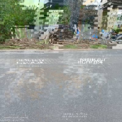 350Triệu/193m2 Sổ Sẵn,mặt tiền đường nhựa 20m,Gia Lộc,Trảng Bàng.