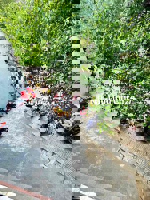 ❤️🇻🇳 NHÀ MẶT TIỀN KINH DOANH ĐẸP