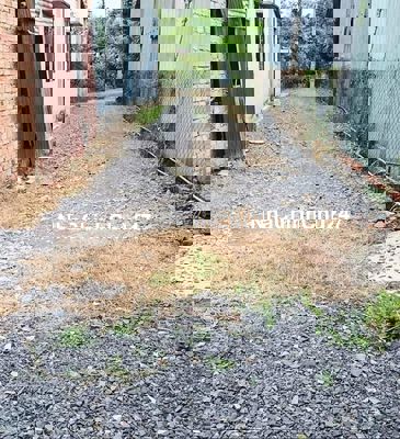 chủ bán đất như chạy giặc ngay trung tâm tây ninh 520tr