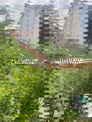 BÁN ĐẤT ĐƯỜNG NHỰA THÔNG TỨ HƯỚNG