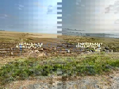 Chính chủ, cần bán đất gần khu công nghiệp, gần siêu cảng nước sâu