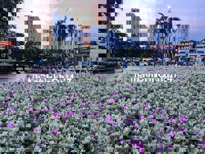 Chính chủ kẹt tien cần ban nhanh căn 2pn - có nội thất- vị trí đẹp