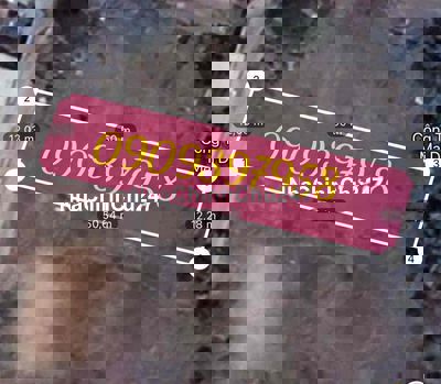 Chính Chủ Cần Bán Lô Đất Trồng Cây Xuân Thới Thượng HM