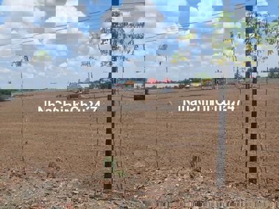 Chính chủ Bán Gấp 500M Thổ Cư mặt tiền Kênh thích hợp xây nhà vườn