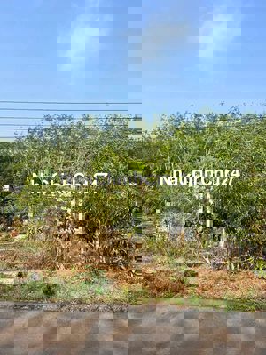 2 lô đất liền kề có thổ cư cần bán gấp