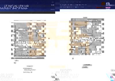 Giá *** thị trường Dự án Sun Cosmo Chủ cắt lỗ 250 tr: