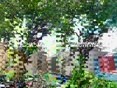 Bán nhà vườn HXH ĐS8 LINH XUÂN| 50x30| 100% THỔ CƯ| Sổ Hồng Sẵn