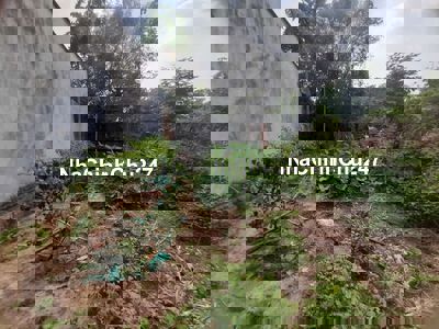 Chủ cần ra gấp 150m2 thổ cư full, thới hoà