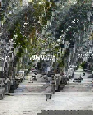 Chính chủ cần bán 588m2 đất 2 mặt hẻm xe hơi 538m2 tc tách thửa đẹp