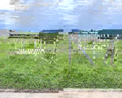 CHỦ NGỘP BÁN GẤP LÔ ĐÁT Ở PHƯỚC HIỆP CỦ CHI 119M2 GIÁ 490 TRIỆU