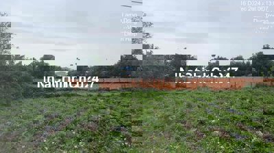 chính chủ đi định cư bán đất nghỉ dưỡng giá rê