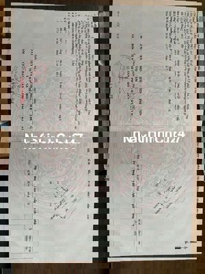 CHÍNH CHỦ BÁN LÔ ĐẤT ĐƯỜNG NGUYỄN THỊ TƯƠI