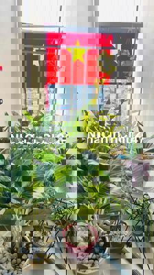 bán 2pn 2wc 2 ban công