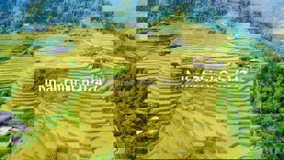 Chính chủ bán 1350m2 đất Muồng Voi, Vân Hòa, Ba Vì. Khoang Xanh