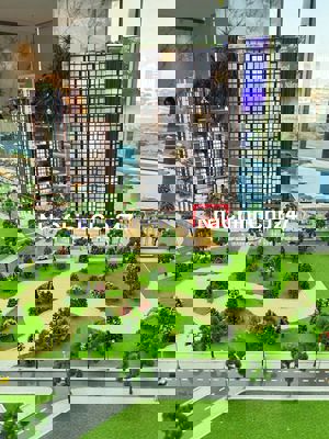 Căn 2BR sân vườn cuối cùng trong giỏ hàng CĐT Sun - CK lên đến 20.5%