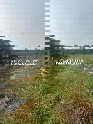 Chính chủ bán gấp đất Long Nguyên Bàu Bàng