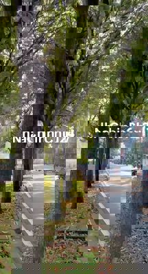 Mặt Tiền Đường Hoàng Sa - Xa Xa Ngắm Đường Tàu