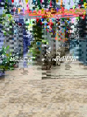 # CƠ HỘI SỞ HỮU ĐẤT VÀNG VIEW HỒ - XÂY BIỆT THỰ ĐẲNG CẤP