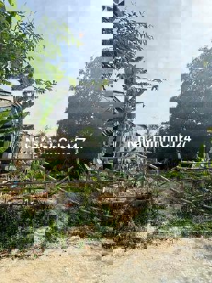 chính chủ cần Bán Đất Điện Minh 144m2 đất ở