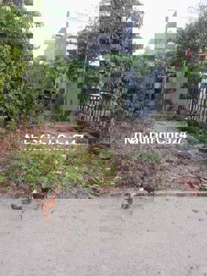 Đất chính chủ, đã có sổ, kiệt ô tô cách đường Mai Đăng Chơn hơn 100m