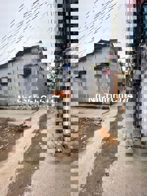 Bán Đất ngõ 124  Do Nha , 4,88  tỷ, 41 m2, ngõ thoáng  lô góc