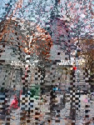 NHÀ PHỐ HÀNG ĐẬU, KHU TRUNG TÂM PHỐ CỔ QUẬN HOÀN KIẾM.