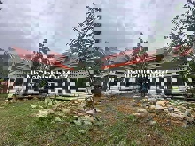 Bán biệt thự view sông cu đê hòa bắc 1000m2 đường DT601