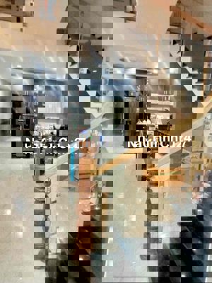 Bán nhà Vip Nguyễn Mậu Tài -Hoà xuân