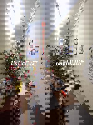 Bán nhà thổ cư chính chủ dt 15,8m xây 4 tầng Ngõ chợ khám thiên