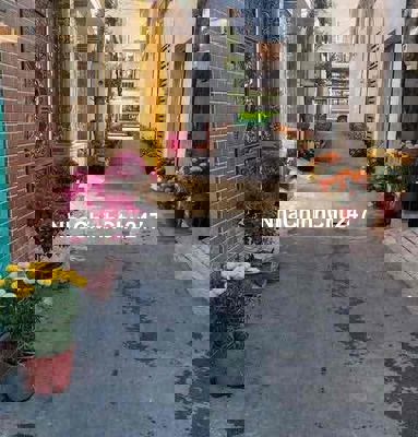 🏦 Nhà mới đẹp NC siêu phẩm nup hẻm Quang Trung P14