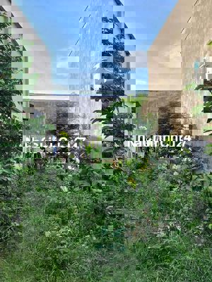 CHỦ KẸT BÁN GẤP ĐẤT MẶT TIỀN – TRƯƠNG THỊ NHƯ, HÓC MÔN – CHỈ 980 TRIỆU