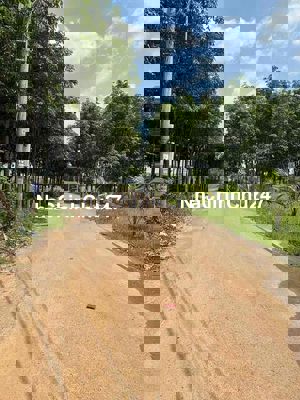 Chính chủ cần bân gấp lô đất Tân Định Bến Cát Bình Dương