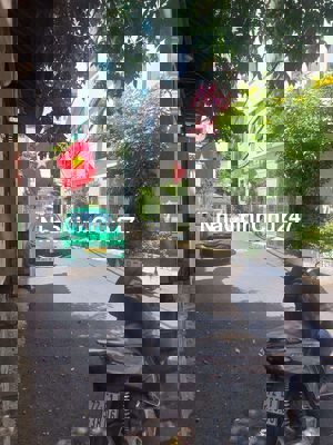 Bán gấp nhà 1 đời chủ - Nguyễn Văn Đậu - Nhỉnh 5,5 tỷ