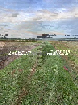 s226 Chính chủ gởi lô đất Tân Mỹ, Đức Hòa, Long An Cách sở thú Mỹ Quỳn