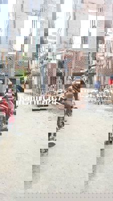 Nhà 40m2 Ngay Ngã Tư Thạch Bàn – Cổ Linh Gara Ô Tô 7 Chỗ