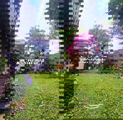 NHÀ VƯỜN, LÔ GÓC, VIEW SÔNG, GẦN UBND PHƯỜNG HOÀ HIỆP NAM