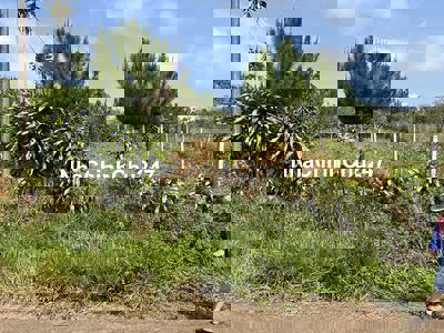 View đẹp có giấy phép xây dựng