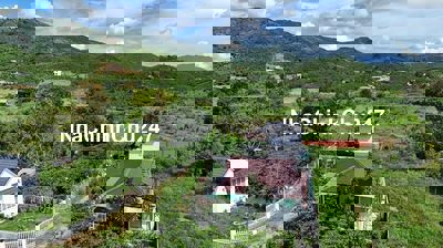 Homestay view núi - 4 phòng Lộc Châu - TP. Bảo Lộc chỉ 4 tỉ