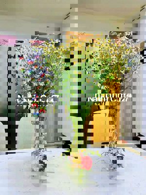 BÁN CARILLON 2 1PN 1WC GIÁ 2.65 THƯƠNG LƯỢNG