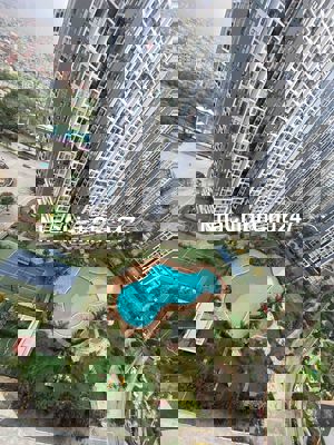 Bán căn 1+ toà S303 view bể bơi tầng 21 ban công ĐN cực đẹp